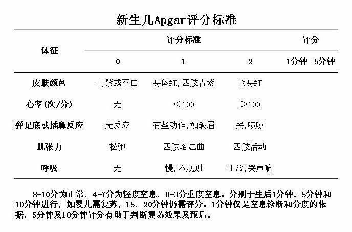 普尔新秀赛季评价