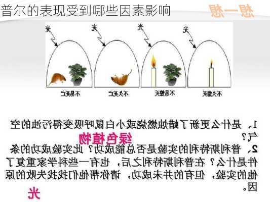 普尔的表现受到哪些因素影响