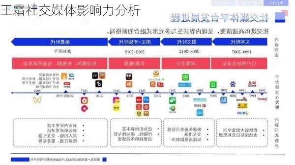 王霜社交媒体影响力分析