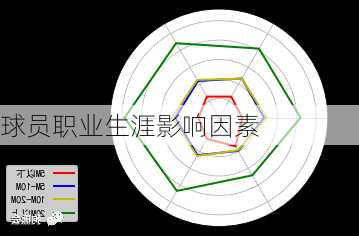 球员职业生涯影响因素