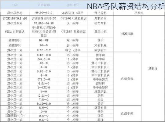 NBA各队薪资结构分析