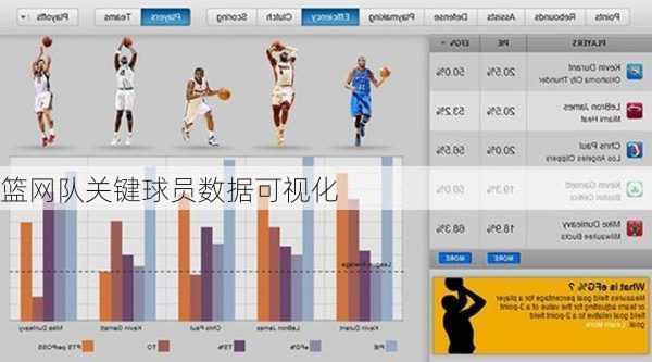 篮网队关键球员数据可视化