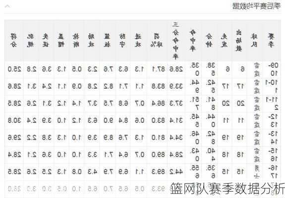 篮网队赛季数据分析