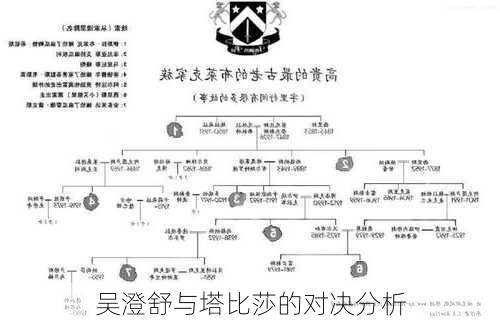 吴澄舒与塔比莎的对决分析