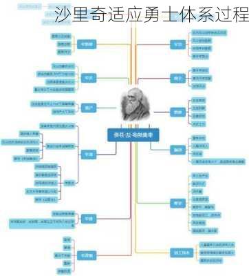 沙里奇适应勇士体系过程