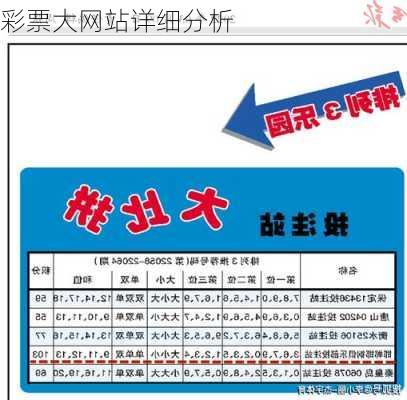 彩票大网站详细分析