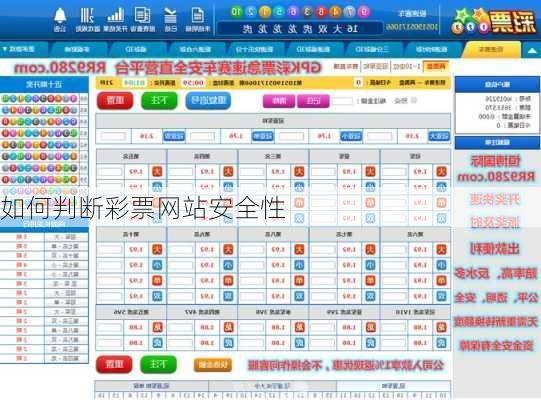 如何判断彩票网站安全性