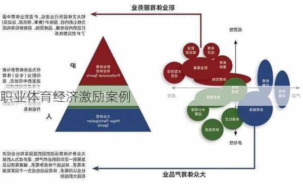 职业体育经济激励案例