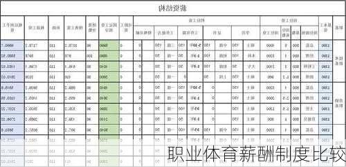 职业体育薪酬制度比较