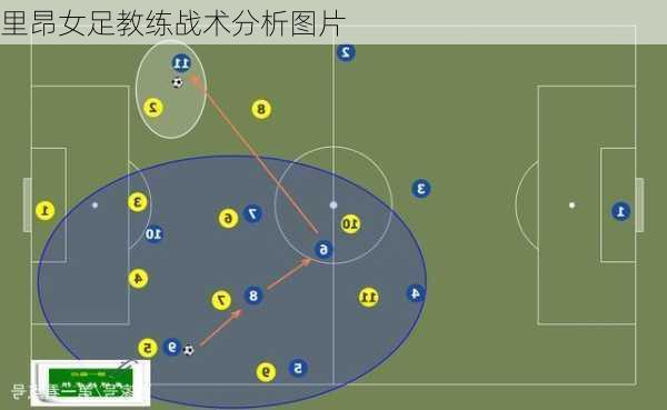 里昂女足教练战术分析图片