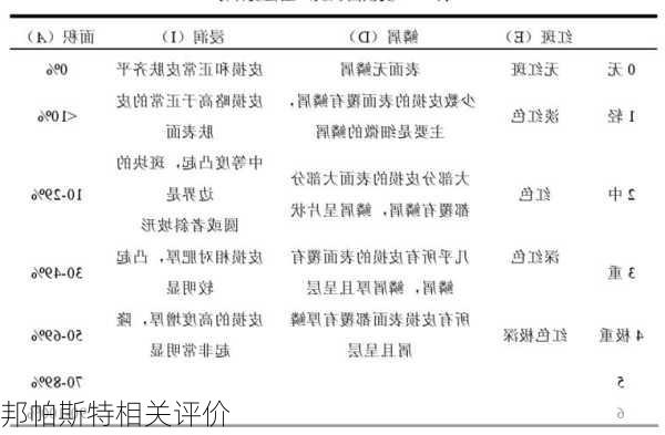 邦帕斯特相关评价