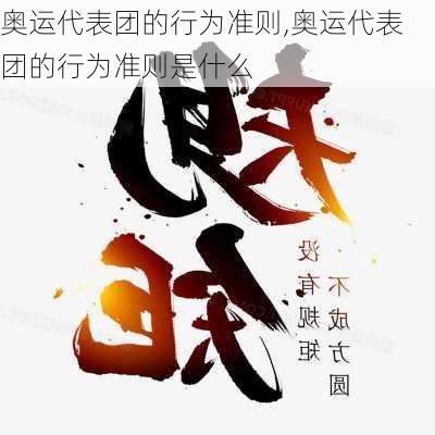 奥运代表团的行为准则,奥运代表团的行为准则是什么