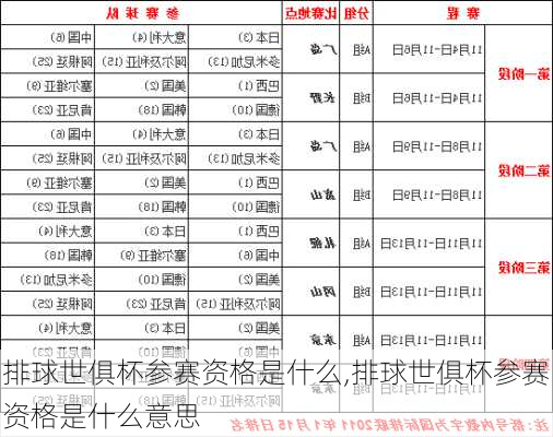 排球世俱杯参赛资格是什么,排球世俱杯参赛资格是什么意思